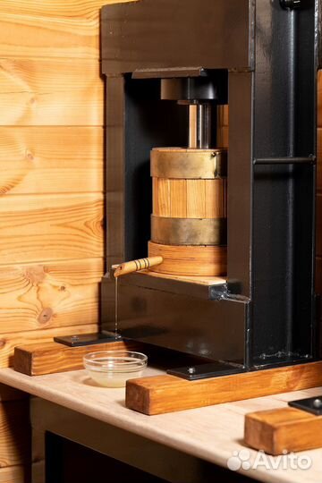 Масло черного тмина, конопляное, расторопши