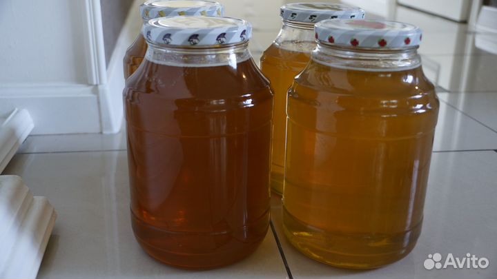 Мёд натуральный, зрелый 3л (1 банка в наличии)