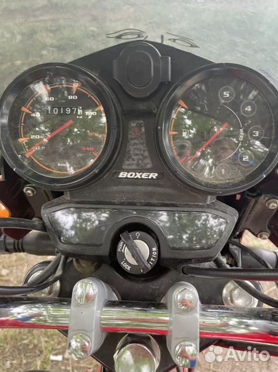 Bajaj Boxer125