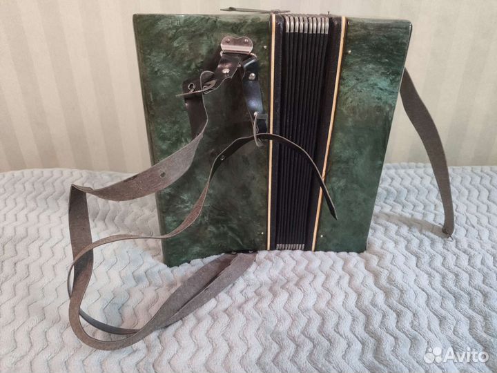 Аккордеон детский