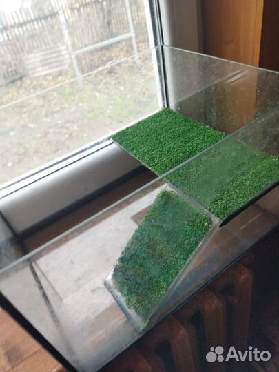 Террариум для черепахи