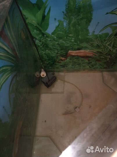 Аквариум 250 литров с тумбой