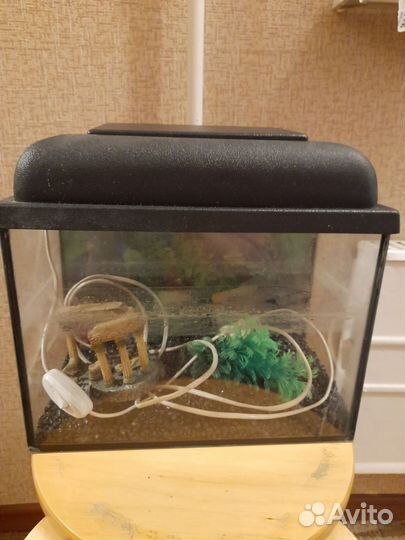 Аквариум
