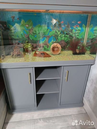 Аквариум