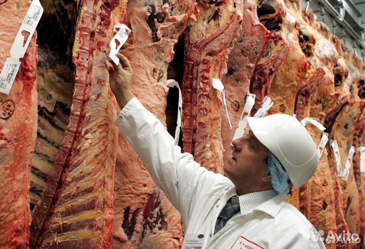 Ищу инвестора, прибыль 23601 в мес