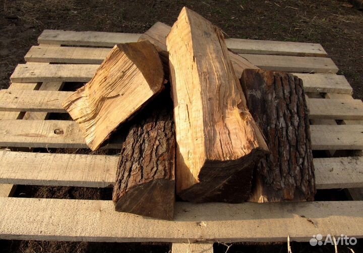 Дрова дубовые от 3м3