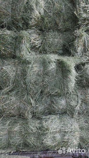 Сено и Стружка в тюках