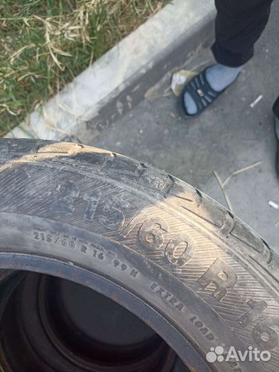 Barum Bravuris 215/60 R16