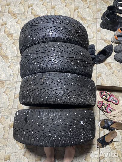 Maxxis NP5 Premitra Ice Nord 205/55 R16 19T