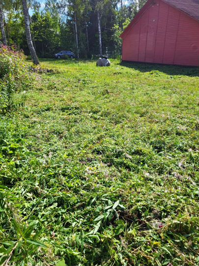 Участок 5,2 сот. (ИЖС)