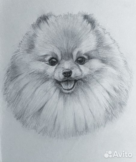 Портрет питомца