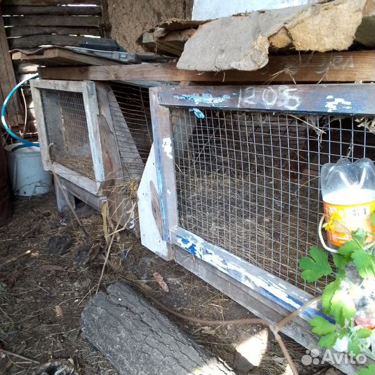 Клетки для кроликов бу