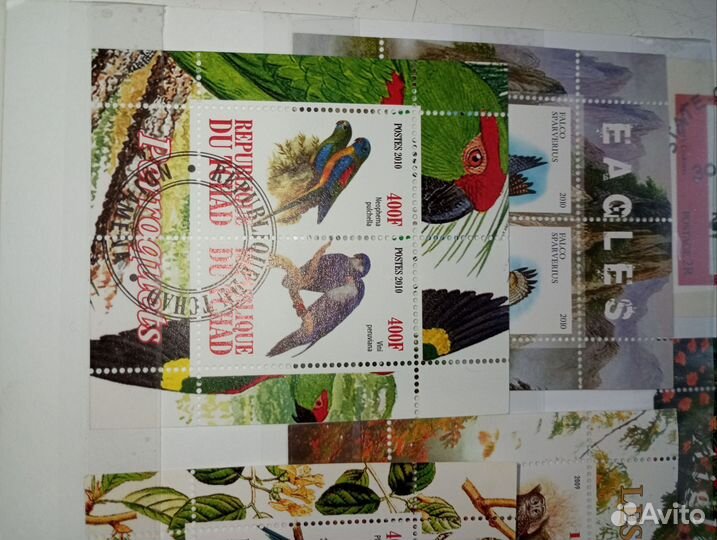 Почтовые блоки СССР марками