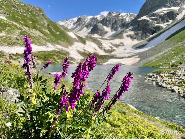 Тур на Кавказ