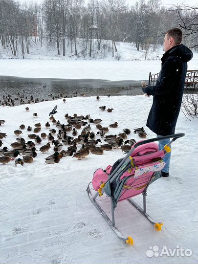 Детские санки-коляска Nika на 2 колесах