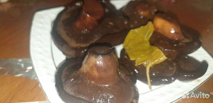 Свинухи соленые