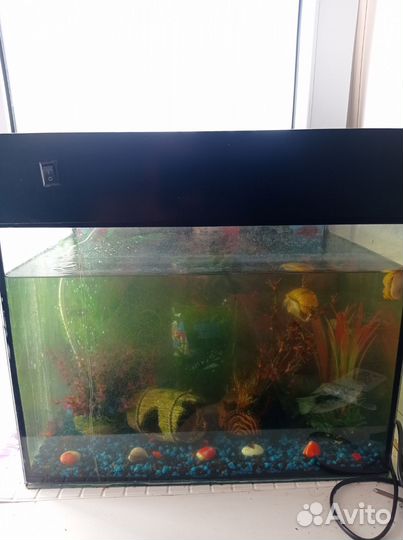 Аквариум