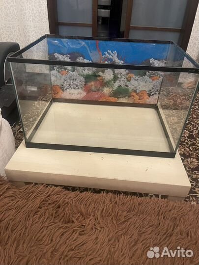 Аквариум террариум