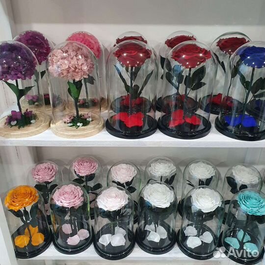 Вечная Роза в колбе красная в ассортименте