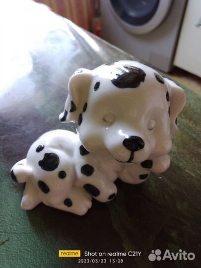 Сабачка стеклянная