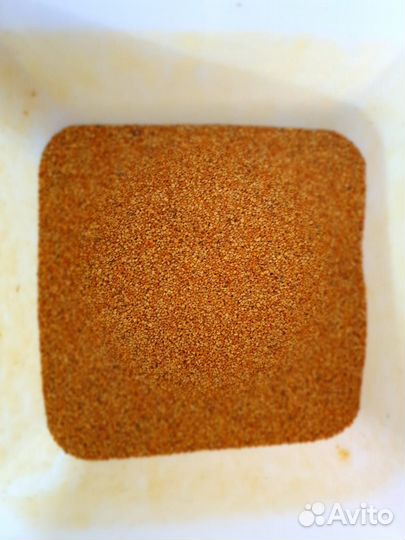 Пыльца цветочная сбор 2024 оптом