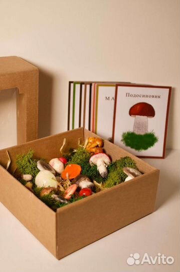 Набор грибов из полимерной глины