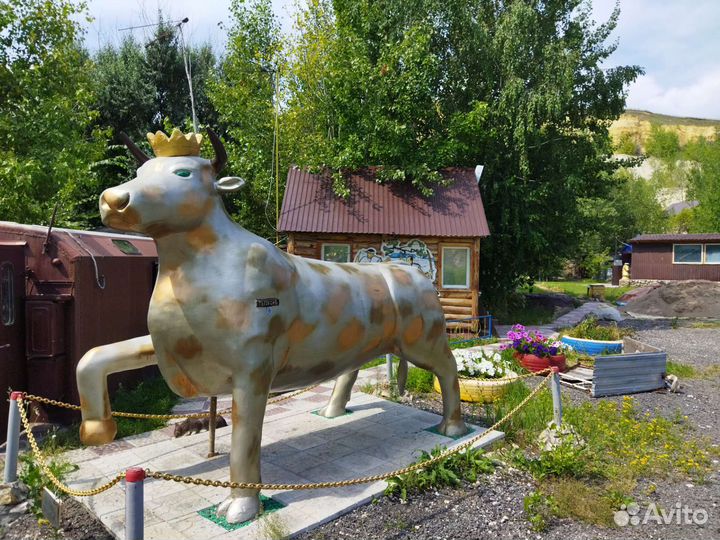 Стрелковый тир