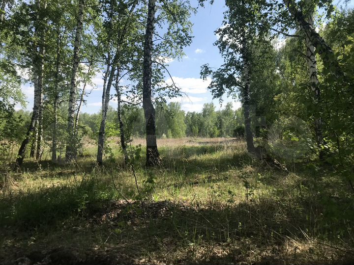 Участок 13 сот. (СНТ, ДНП)