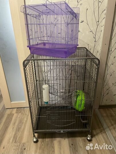 Клетки и переноска для грызунов