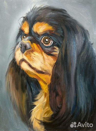 Картины, животные, собаки