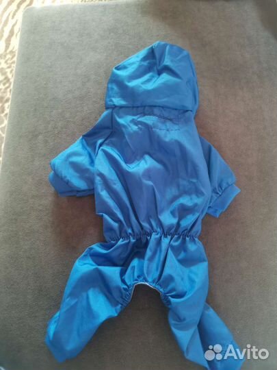 Одежда для собак мелких пород