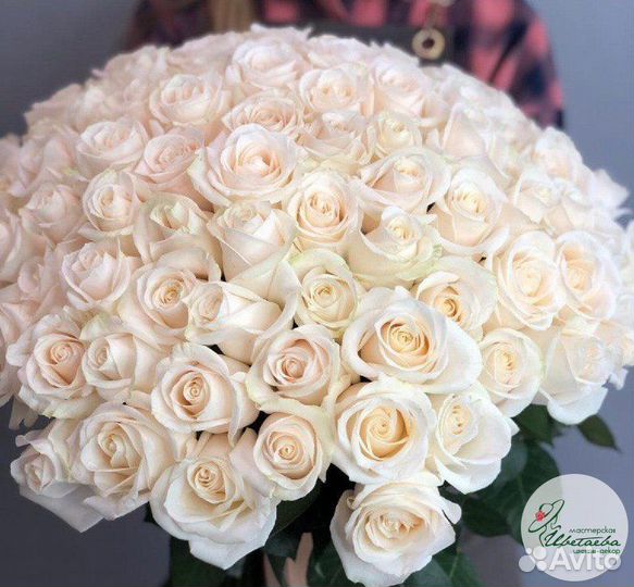 101 свежая белая роза, доставка в Томске от 1 часа