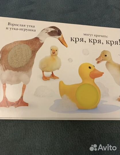 Книга тактильная Мэтью Ван Флит