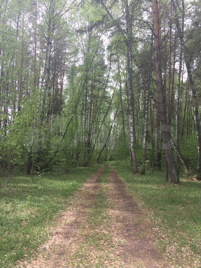 Участок 3 га (СНТ, ДНП)