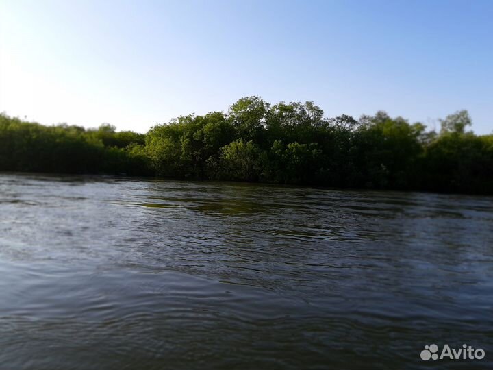 Рыбалка на Кижуча, Камчатка с 15.08. по 31 09.24 г