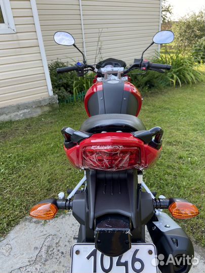 Racer Nitro 250cc 2023год