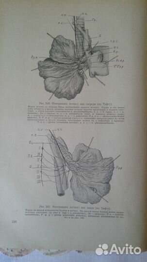 Краткий курс оперативной хирургии 1947г