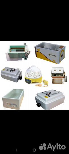 Инкубаторы