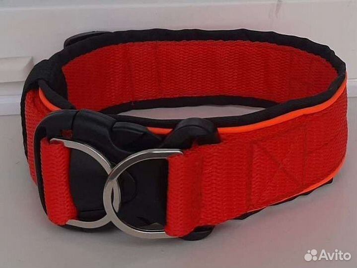 Ошейник для собак средних пород