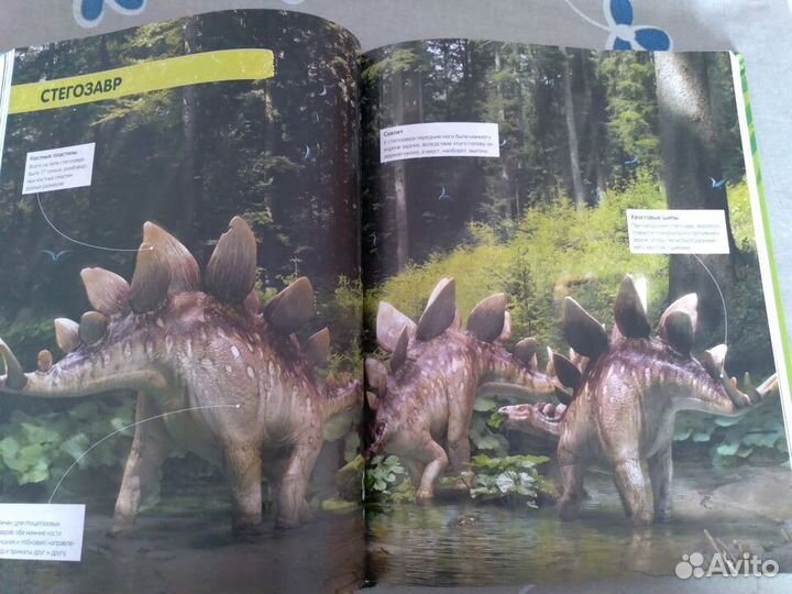 Энциклопедия 