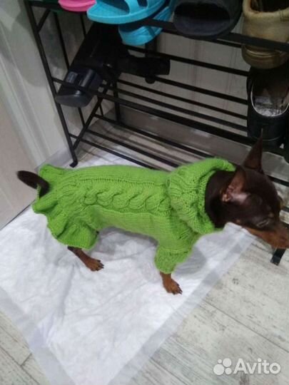 Одежда для маленьких собак