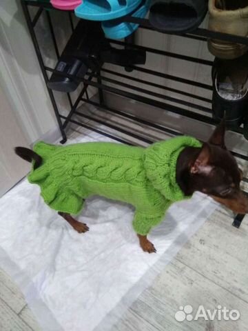 Одежда для маленьких собак
