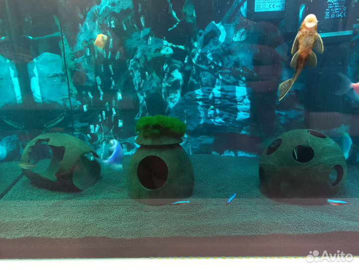 Декоры гроты для аквариума