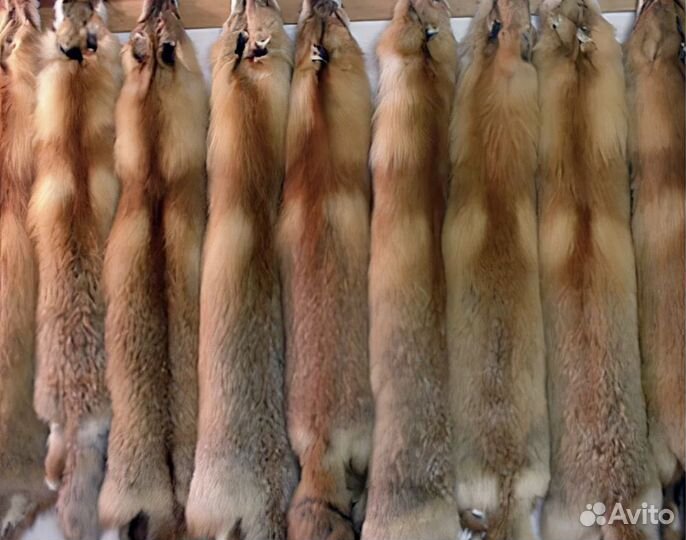 Шкура лисы