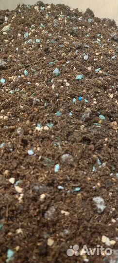 Рыхлый грунт для автополива и ароидных