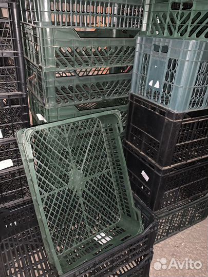 Контейнер для рассады, овощей, фруктов