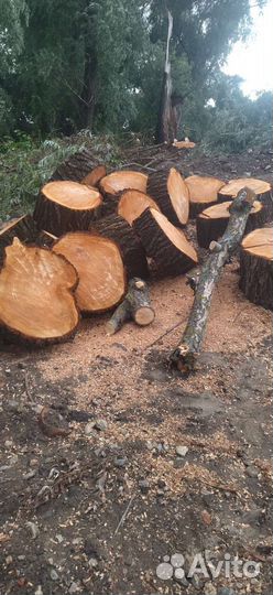 Дрова бесплатно самовывоз