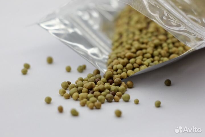 Осмокот Про 5-6 m 25 кг