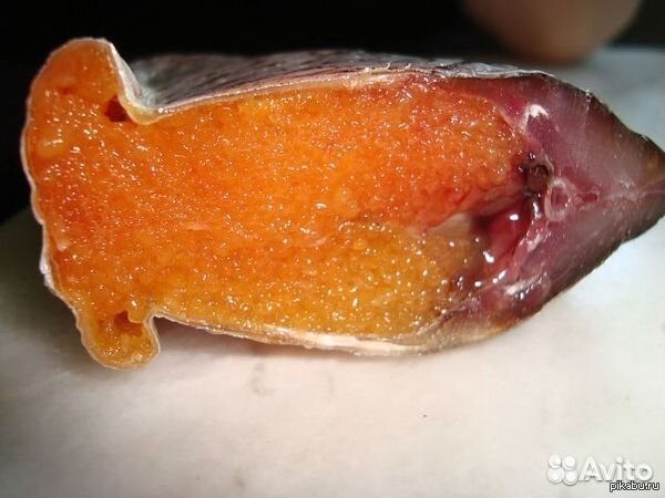 Тарань азовская судак