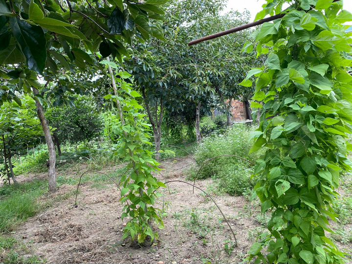 Участок 9 сот. (ИЖС)